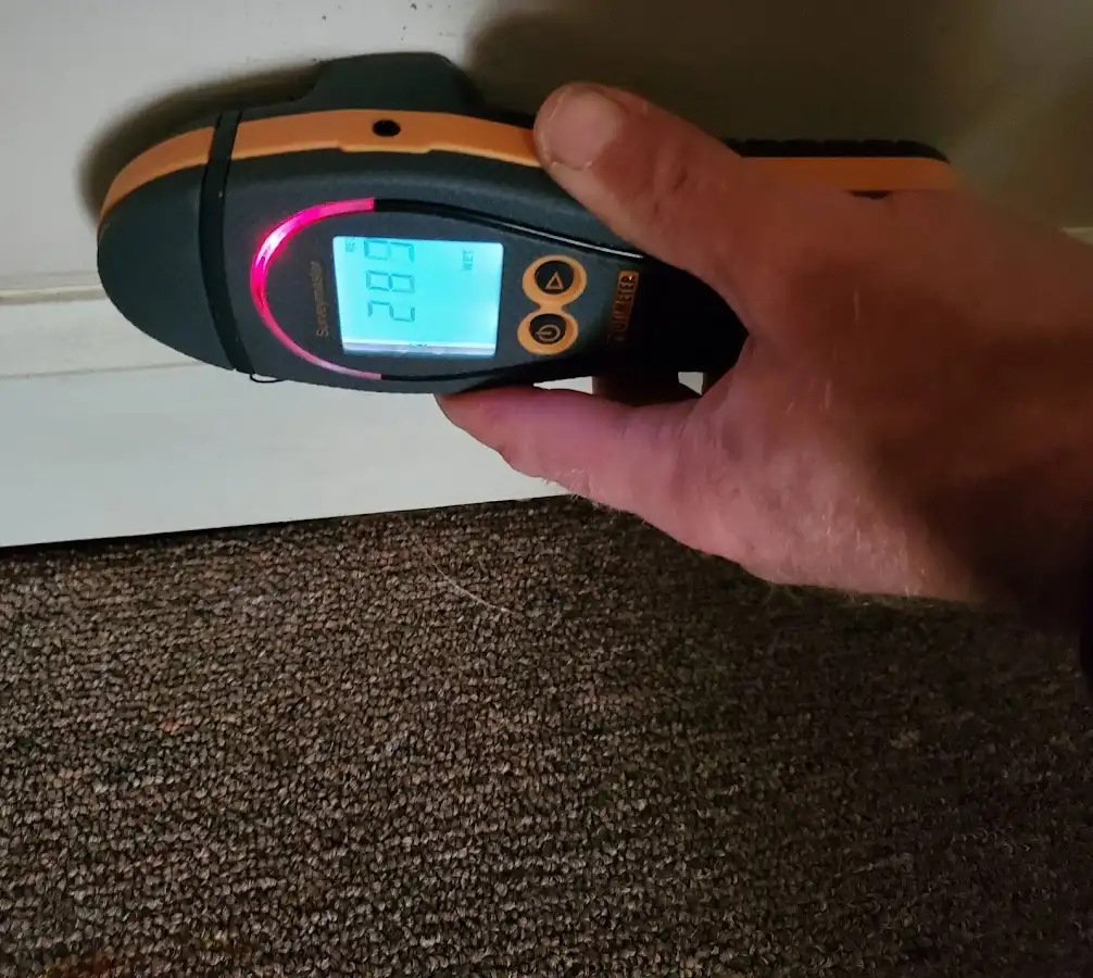 Moisture detection at baseboard during Sewage Cleanup & Sanitation in York